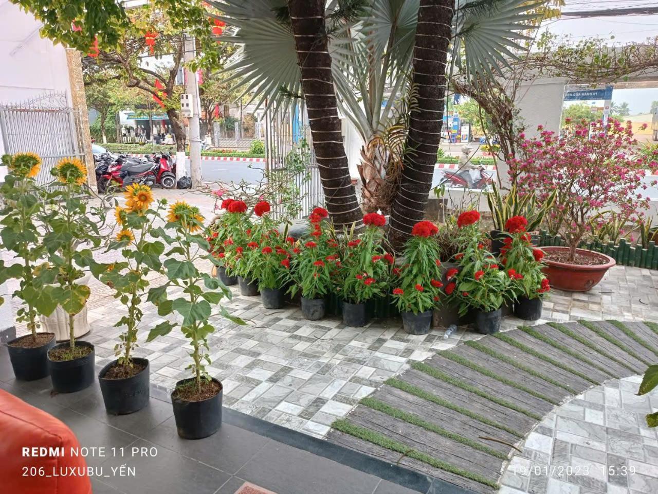 Mekong Hotel & Restaurant Ben Tre Esterno foto